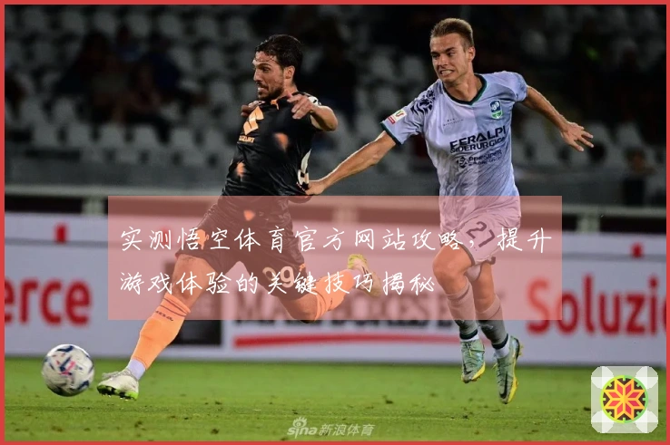 实测悟空体育官方网站攻略，提升游戏体验的关键技巧揭秘