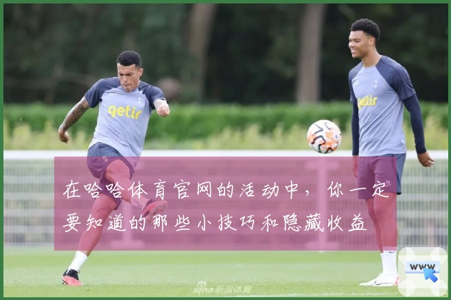 在哈哈体育官网的活动中，你一定要知道的那些小技巧和隐藏收益